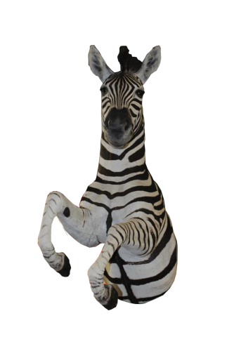 4428.jpg_product_product_product_product